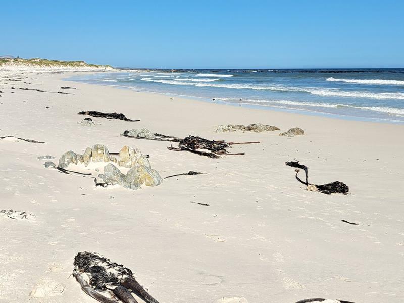 4 Bedroom Property for Sale in Pearly Beach Western Cape